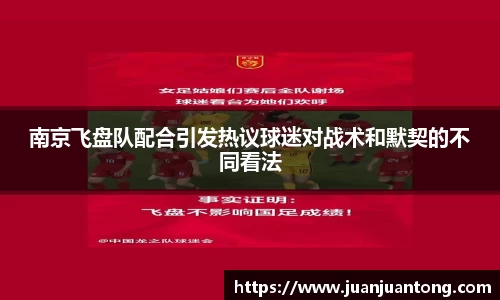 南京飞盘队配合引发热议球迷对战术和默契的不同看法